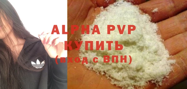 эйфоретик Богданович