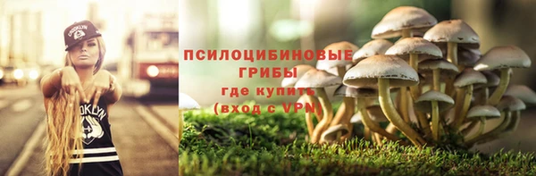 каннабис Белокуриха