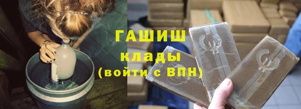 эйфоретик Богданович