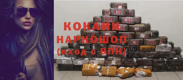 эйфоретик Богданович