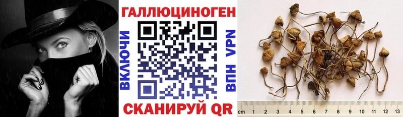 Галлюциногенные грибы мицелий Балей